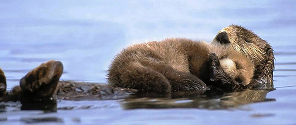 swimming independently